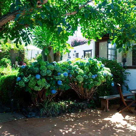 El Nogal Casa Rural Con Piscina Y Jardines Breña Baja